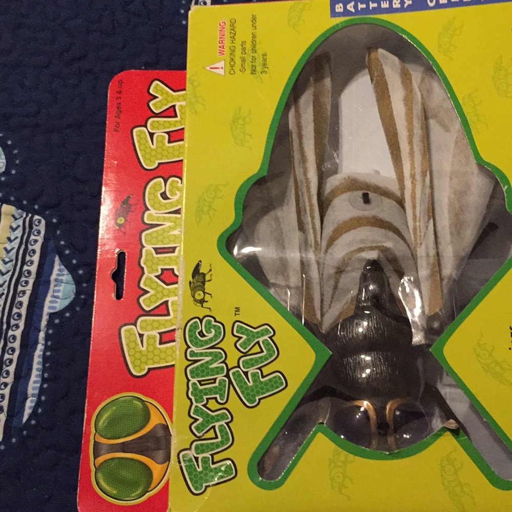 Flying Fly - Picture 2 of 3